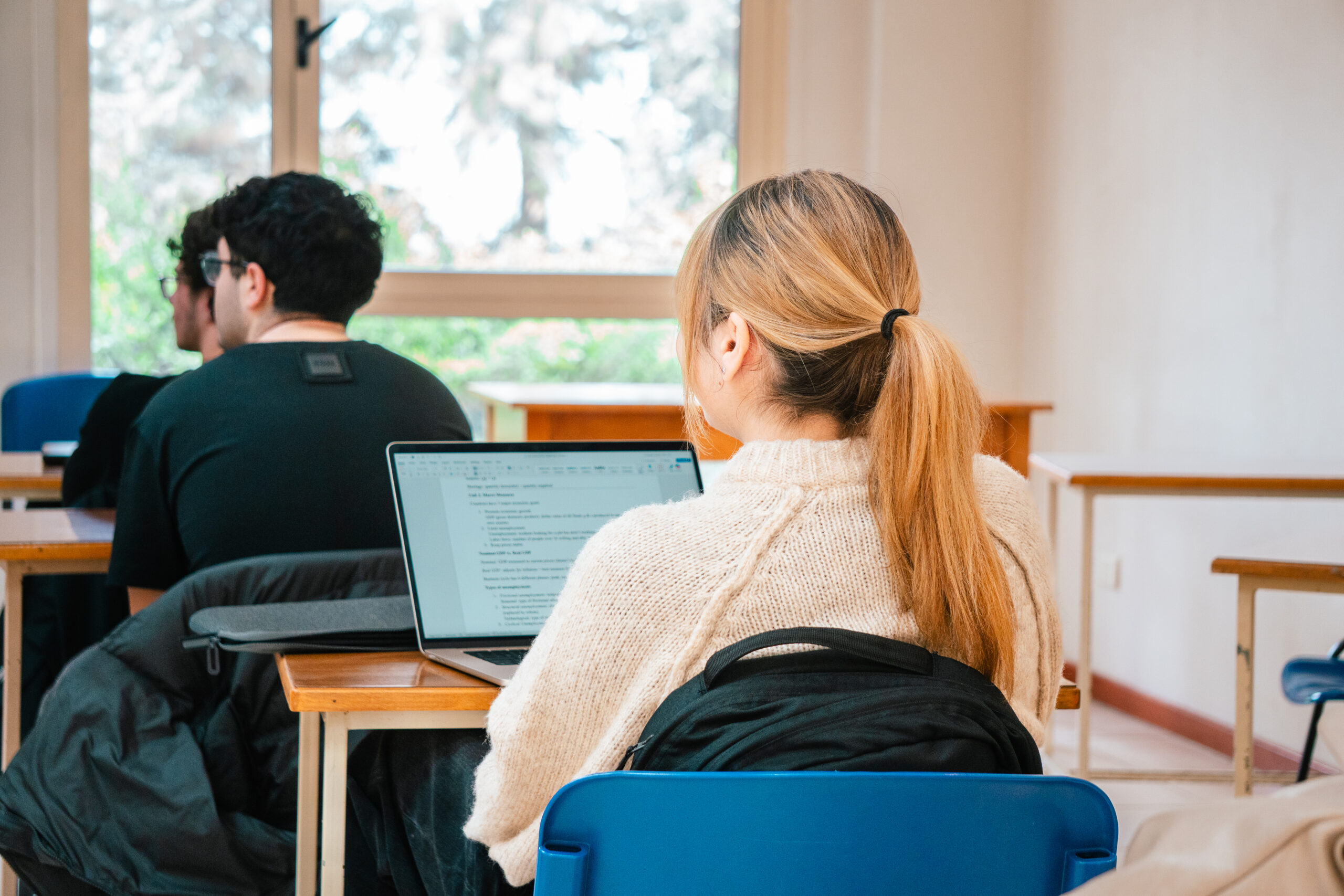 Information Systems concentration at Middle East University