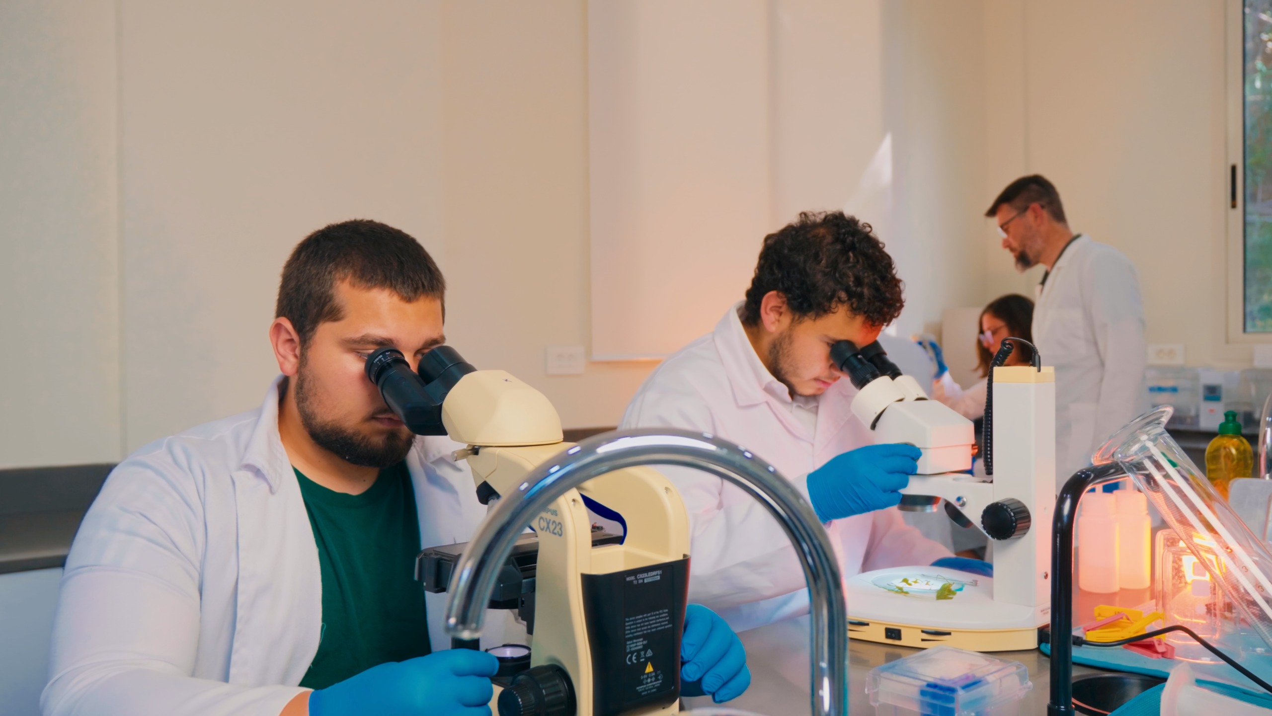 MEU Biology students using microscopes in the laboratory