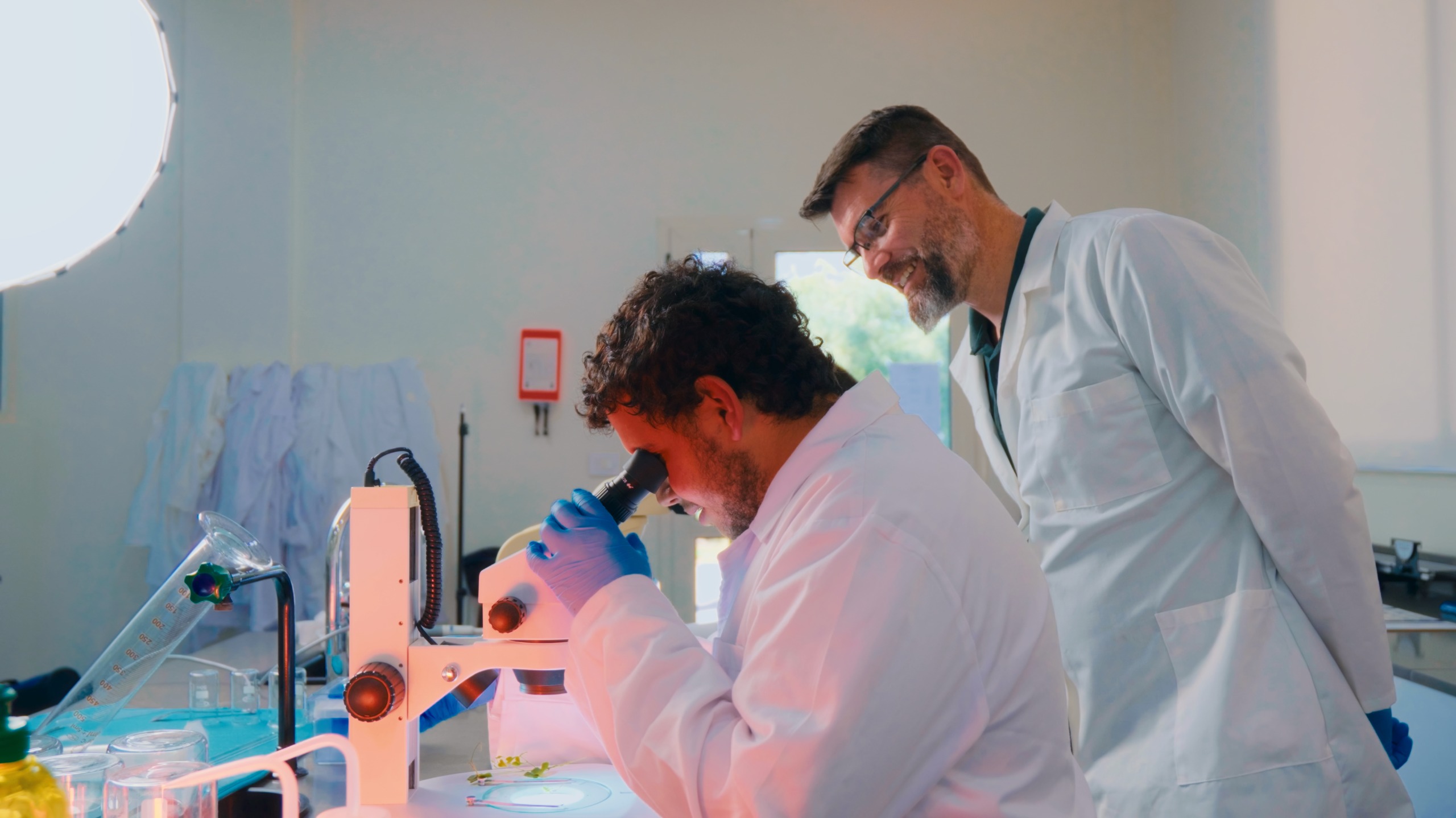 MEU Biology student examining a specimen under the microscope with faculty guidance
