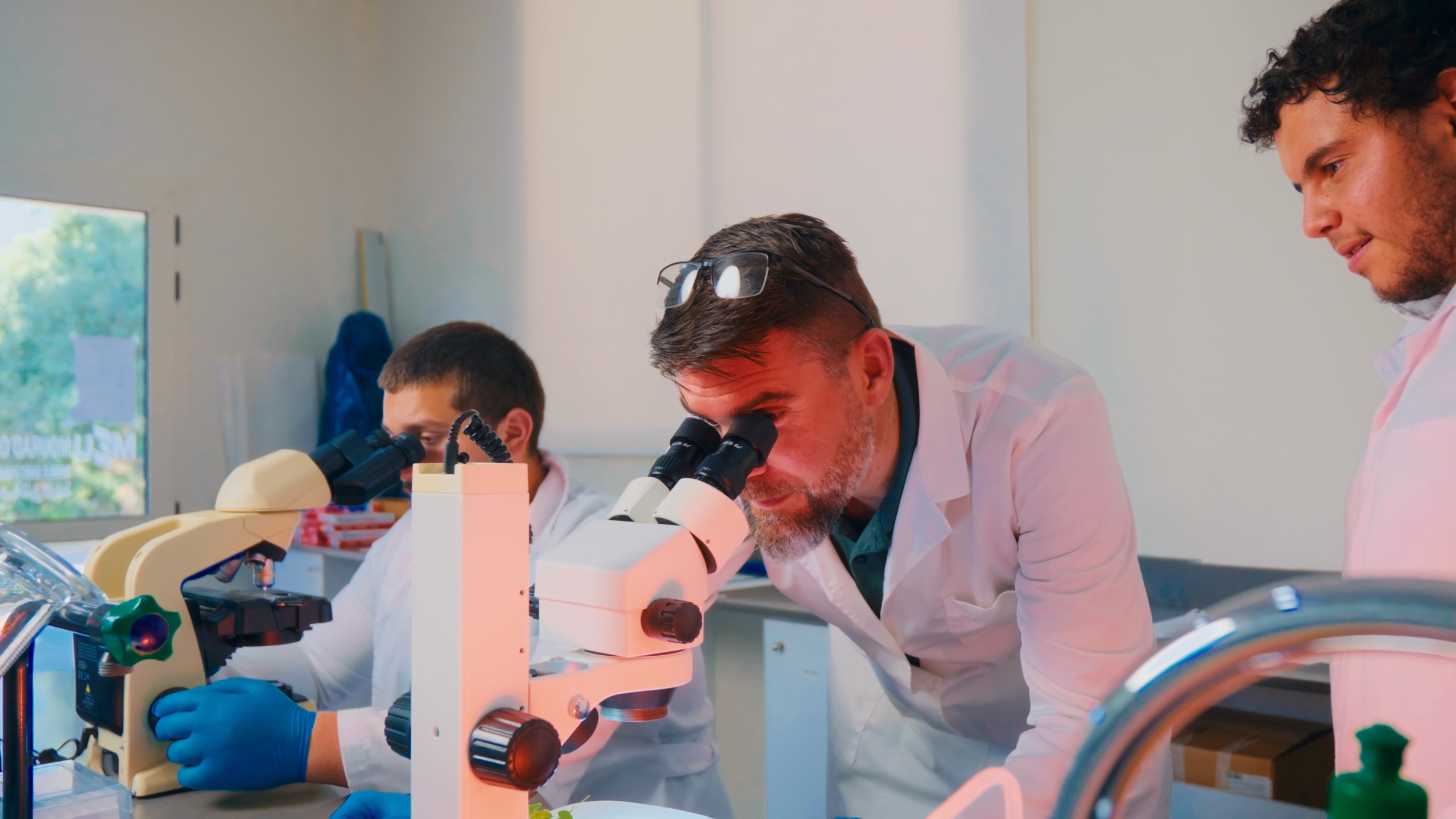 Faculty member and students working with microscopes in the MEU Biology laboratory