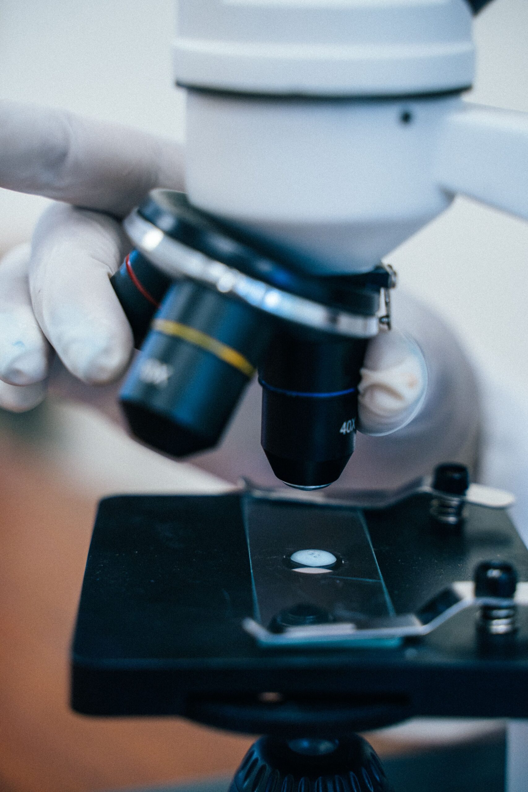 Close-up of gloved hands adjusting a microscope above a specimen slide